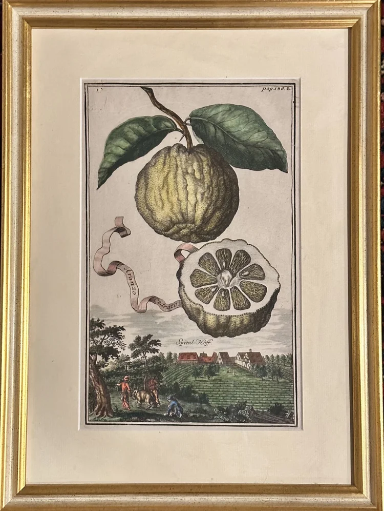 6CC16B32-4C70-418B-888A-A03C92102087 (1)