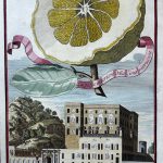 Volckamer Palazzo del N.H