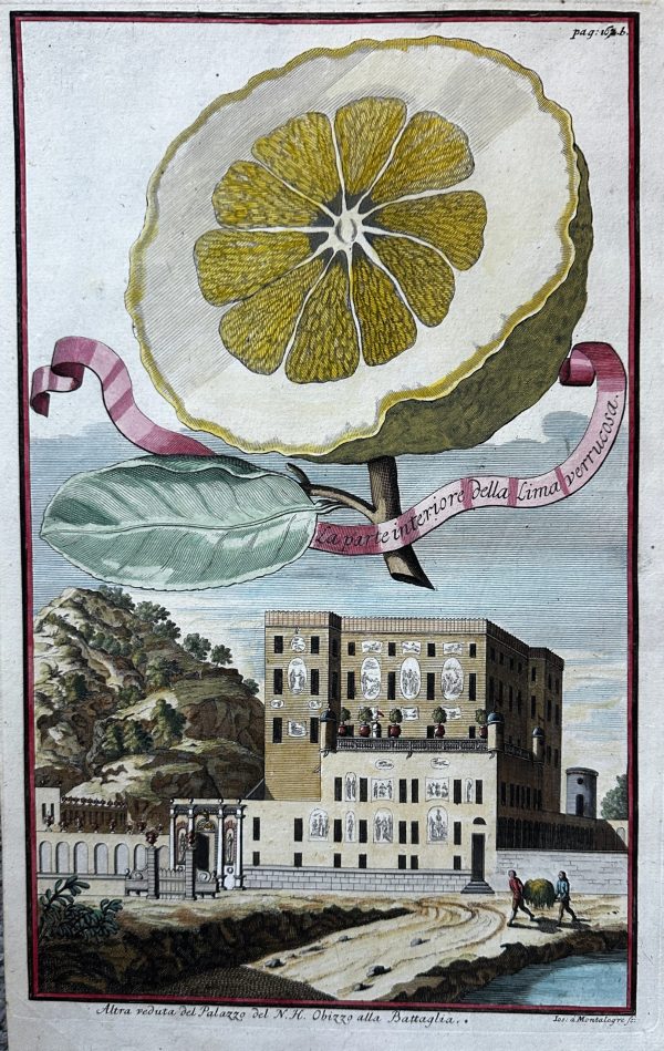 Volckamer Palazzo del N.H